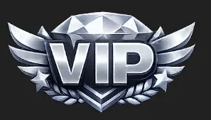 🤍VIP Silver